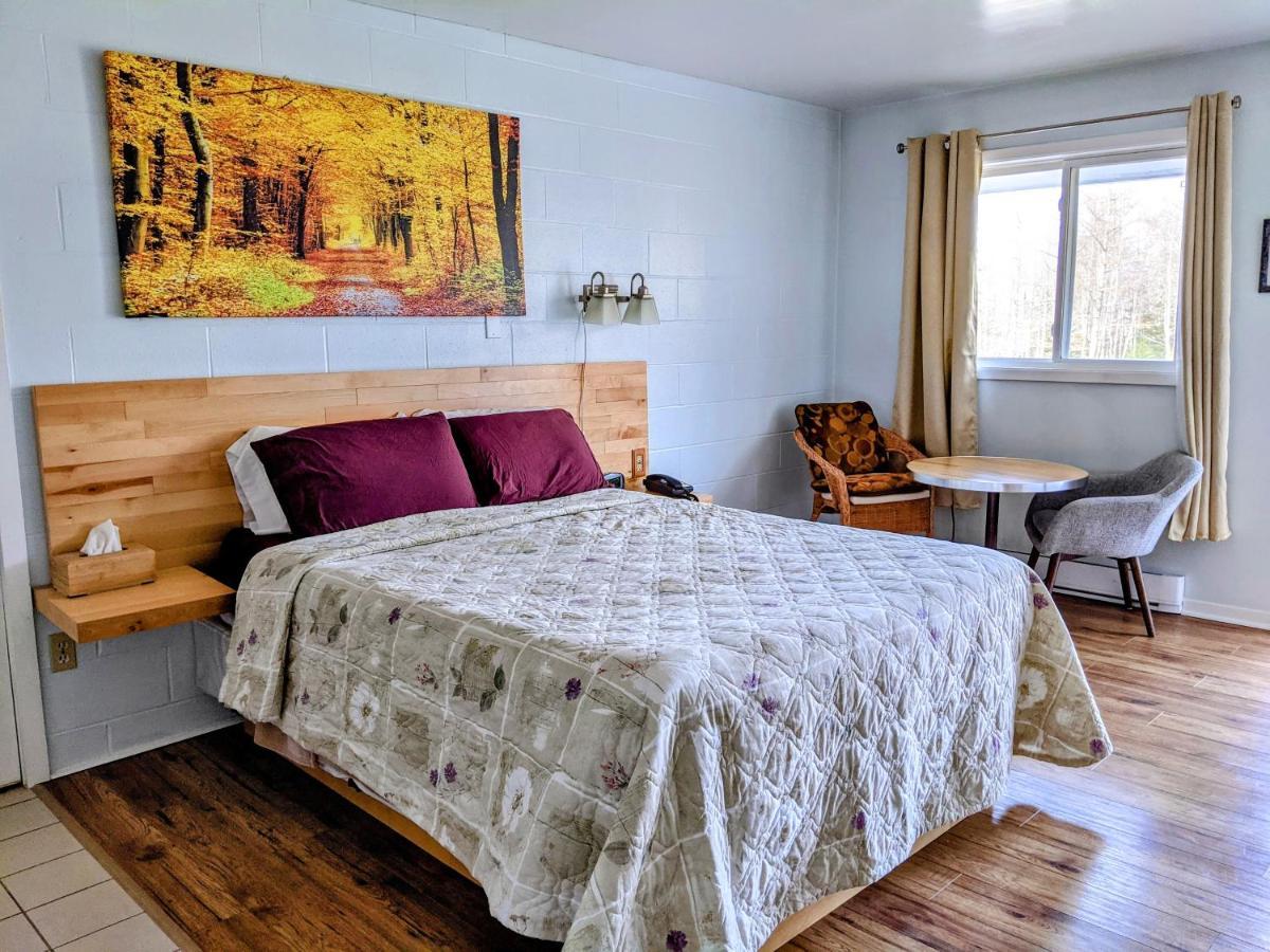 Jacques Cartier Motel Sydney Dış mekan fotoğraf